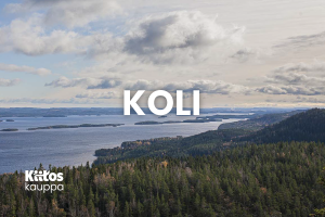 Koli-Tuotekuva2023