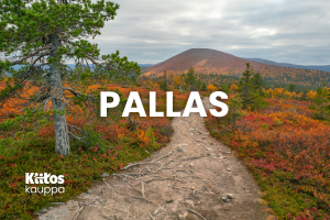 Pallas-Tuotekuva2023